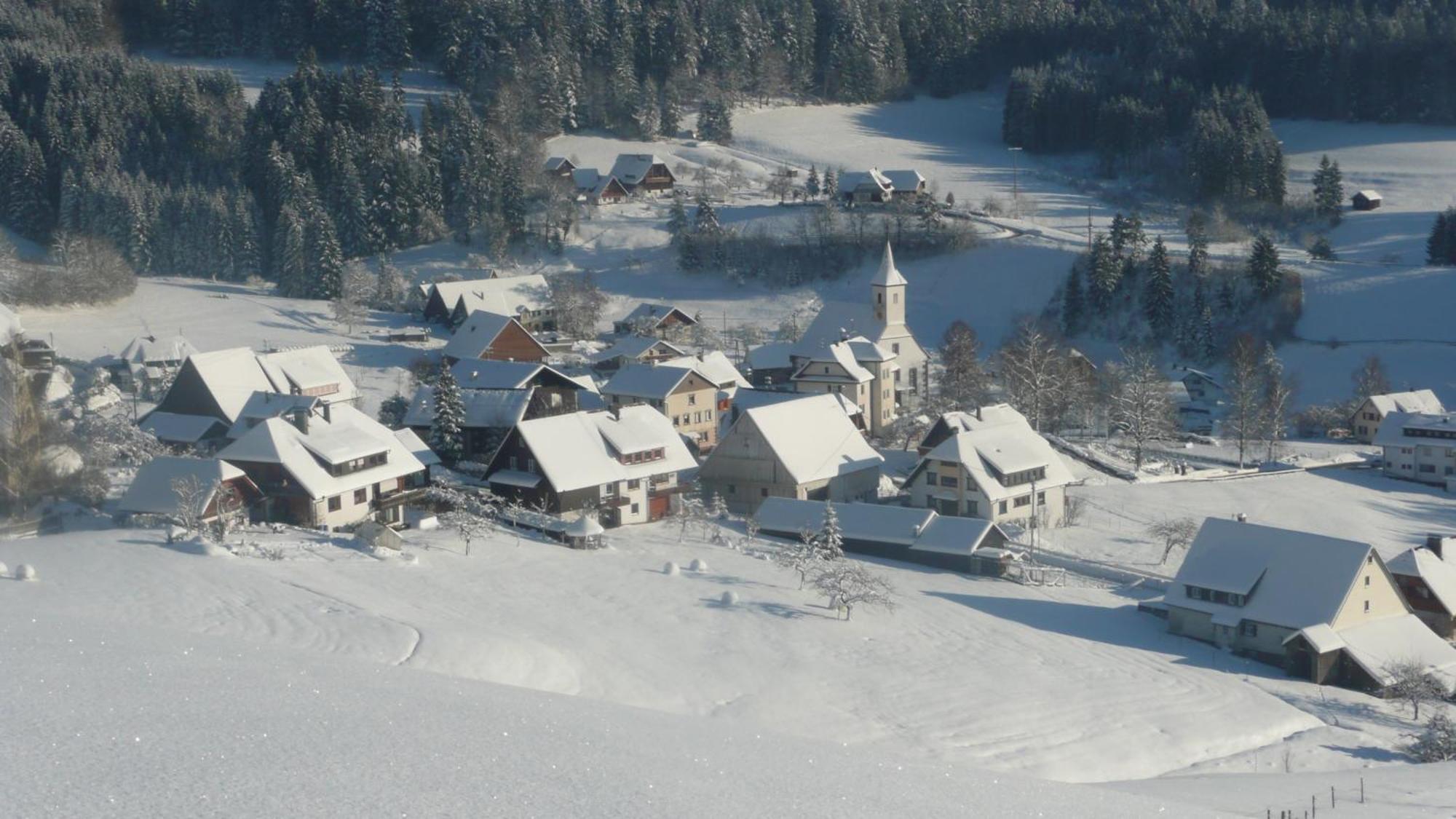 Landhaus Sackmann Baiersbronn Kültér fotó
